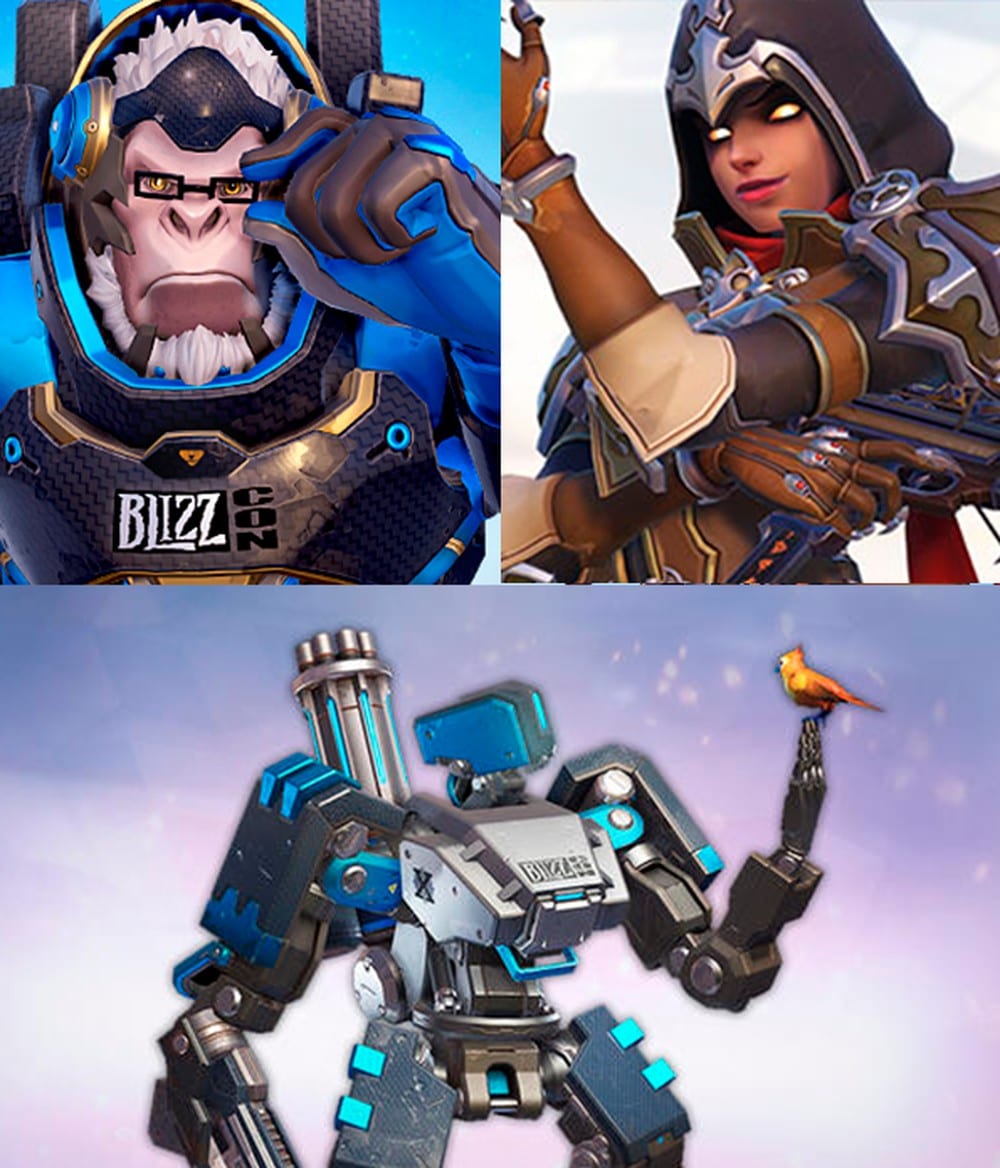 Skins blizzcons