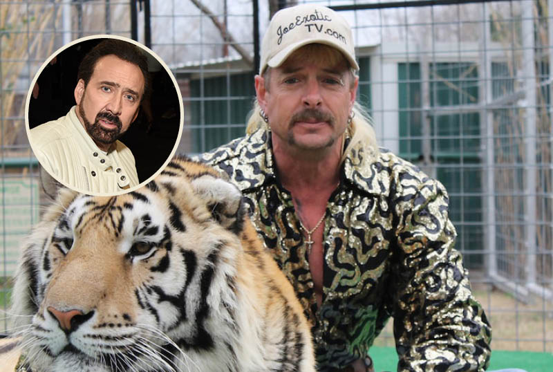 Nicolas Cage viverá Joe Exotic em A Máfia dos Tigres