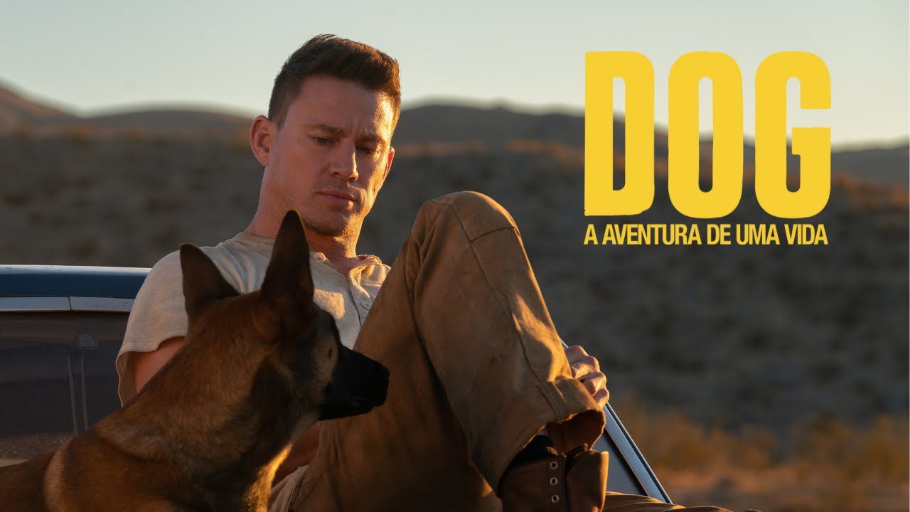 Dog A Aventura de uma vida é um dos filmes que estreiam em maio de 2022