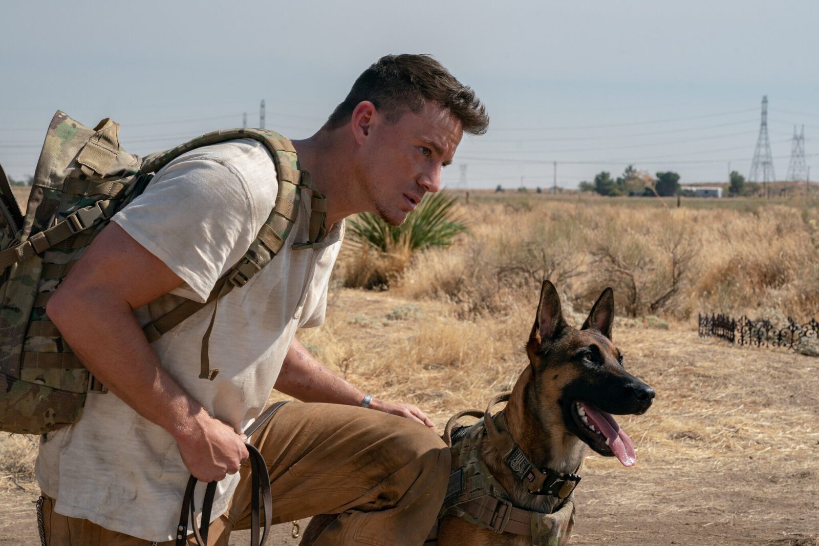 Dog: A Aventura de Uma Vida é um dos filmes em alta para assistir hoje na HBO Max